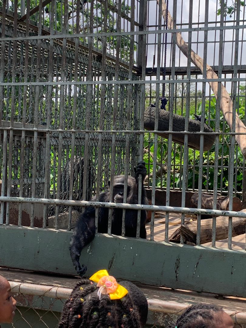 Educational trip-Kumasi Zoo